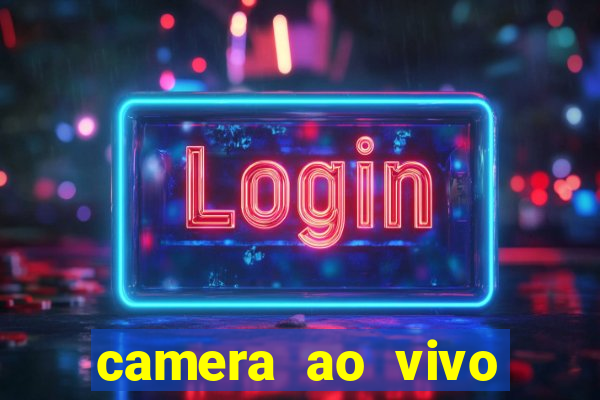 camera ao vivo beto carrero